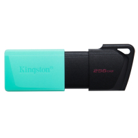 KINGSTON 256GB USB3.2 GEN 1 DATATRAVELER EXODIA M