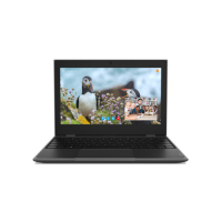 LENOVO 100e N4100 11.6" HD 4GB 64GB W10P 3Cell