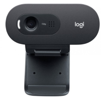 Logitech C505e HD Webcam